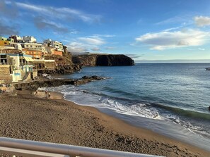 Beach - Serene Sardine (Sardina)