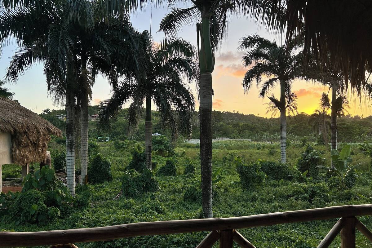 A view of a lush landscape with palm trees and a thatched-roof structure.