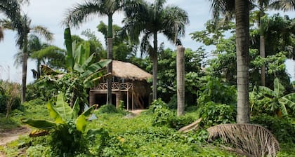 Dominican Jungle Resort