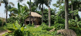 Dominican Jungle Resort