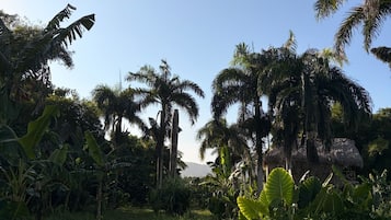 Aussenbereich