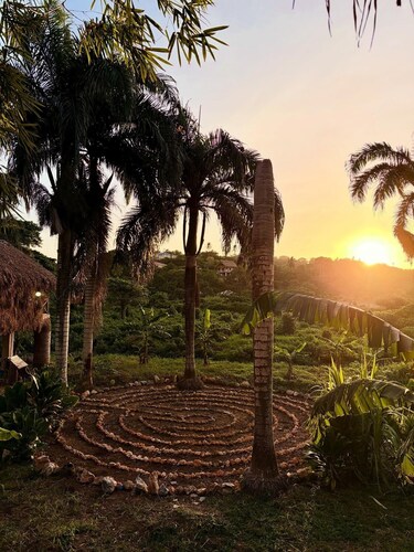 Dominican Jungle Resort 