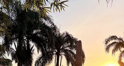 Dominican Jungle Resort