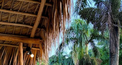 Dominican Jungle Resort