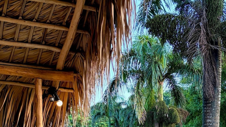 Dominican Jungle Resort