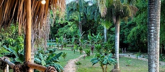 Dominican Jungle Resort