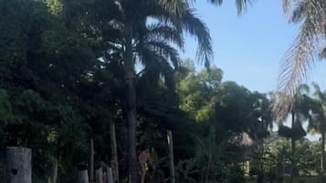 2 outdoor pools