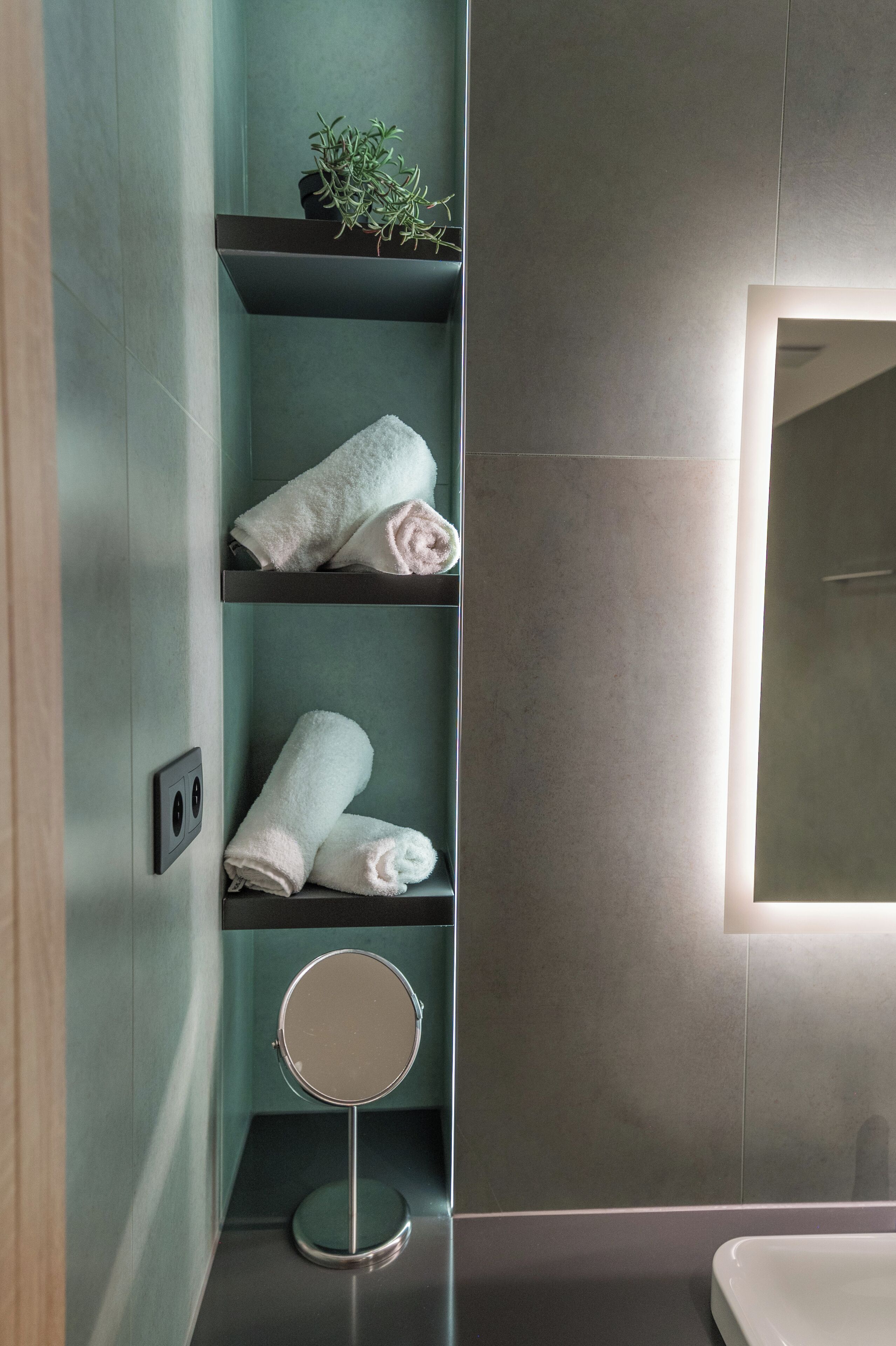 A bathroom with a mirror, two towel racks, and a potted plant.
