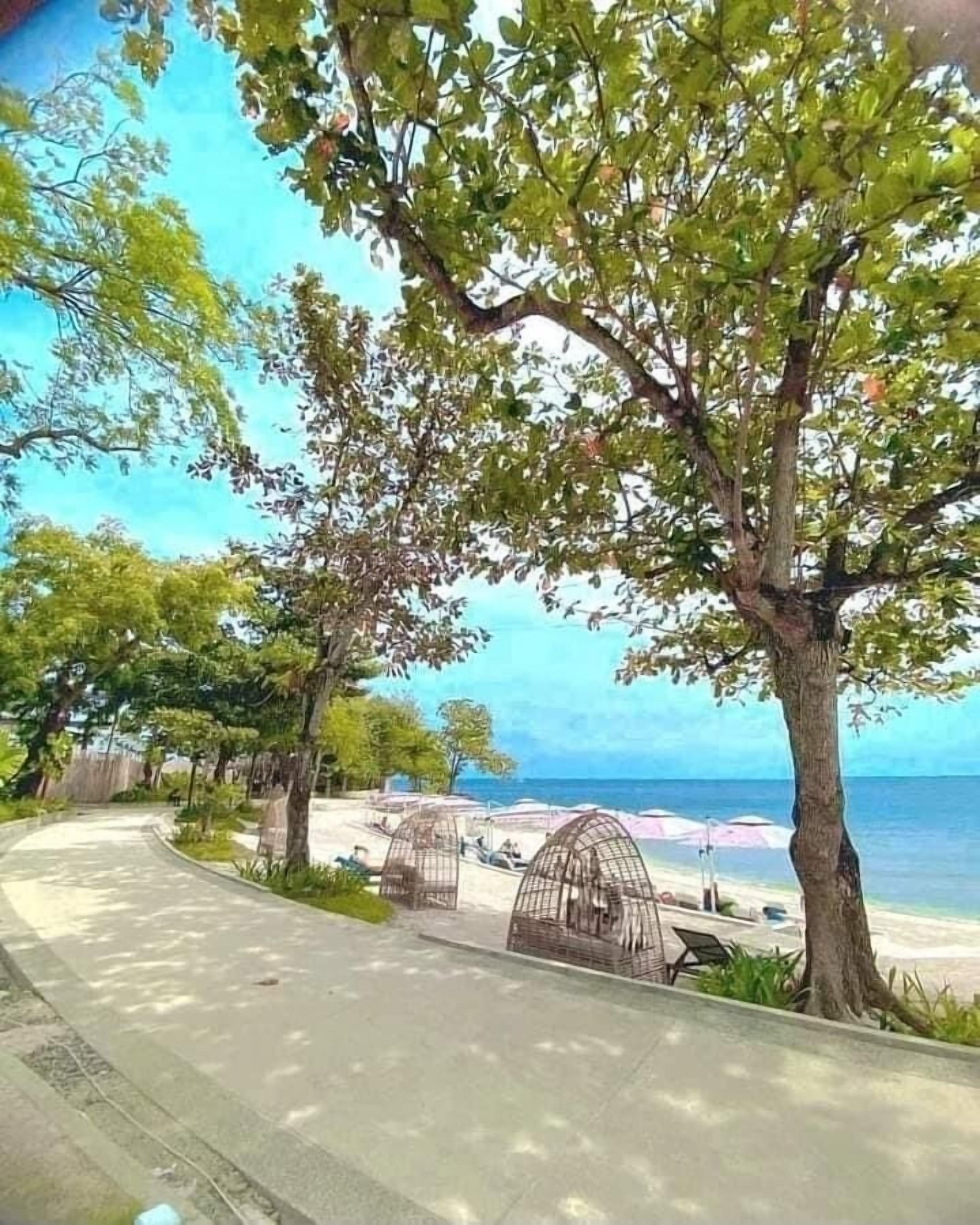Un paseo marítimo con árboles, una playa y una vista despejada del mar.