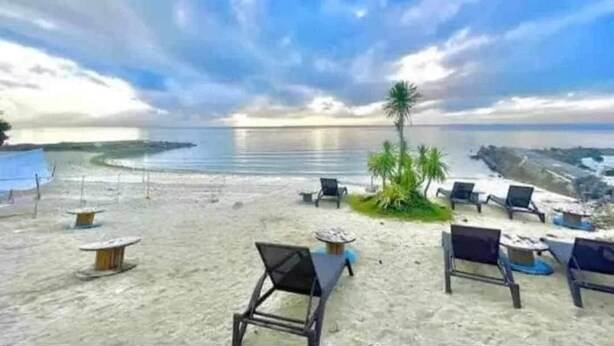 A beach with lounge chairs and tables, a palm tree, and a view of the ocean.