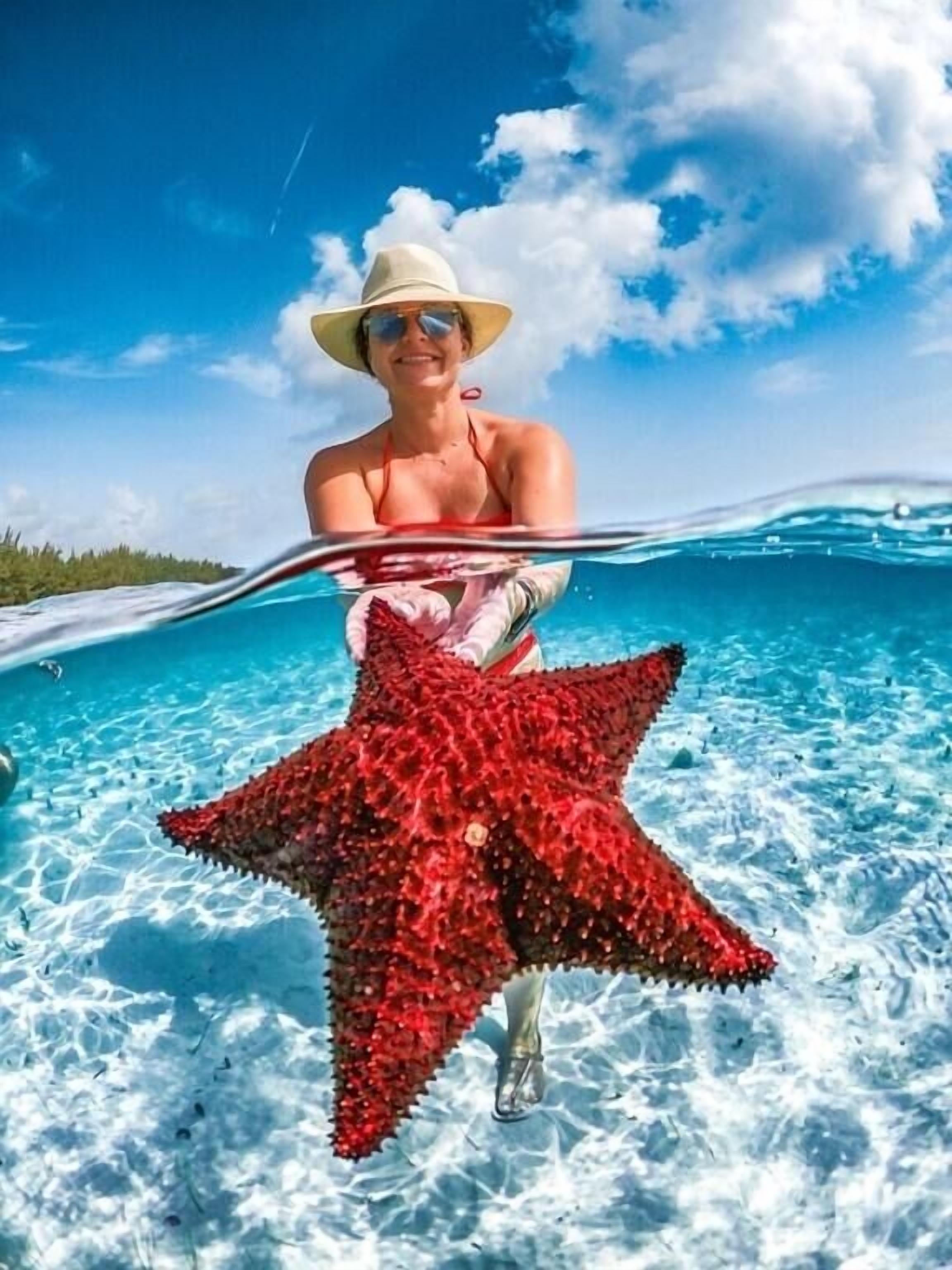 Liegestühle, Strandtücher