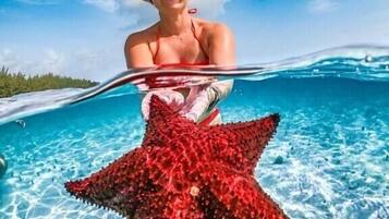 LiegestĂŒhle, StrandtĂŒcher