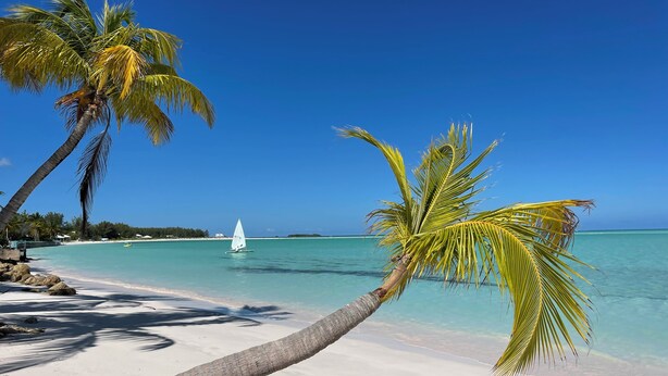 A beach with clear turquoise water, a sailboat, and palm trees. - Rest Ashore, BRAND NEW 2-bedroom cottage in Spanish Wells!FREE golfcart (Spanish Wells)