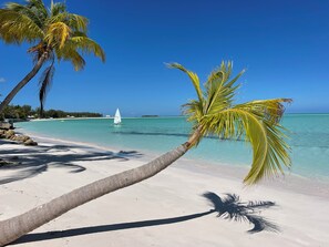 A beach with clear turquoise water, a sailboat, and palm trees. - Rest Ashore, BRAND NEW 2-bedroom cottage in Spanish Wells!FREE golfcart (Spanish Wells)