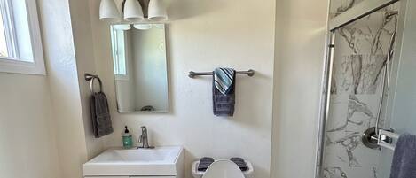 A bathroom with a white toilet, a sink, a mirror, and a shower with marble tiles.