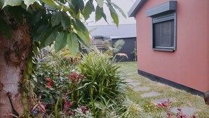 Ein Garten mit verschiedenen Pflanzen und einem Baum, ein pinkfarbenes Gebäude mit einem Fenster sowie ein gepflasterter Weg.
