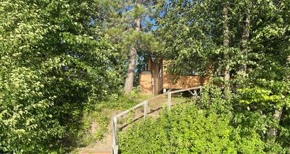 Fabulous lakeside cabin with free dock space! Excellent swimming beach