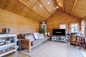 TV, fireplace, offices