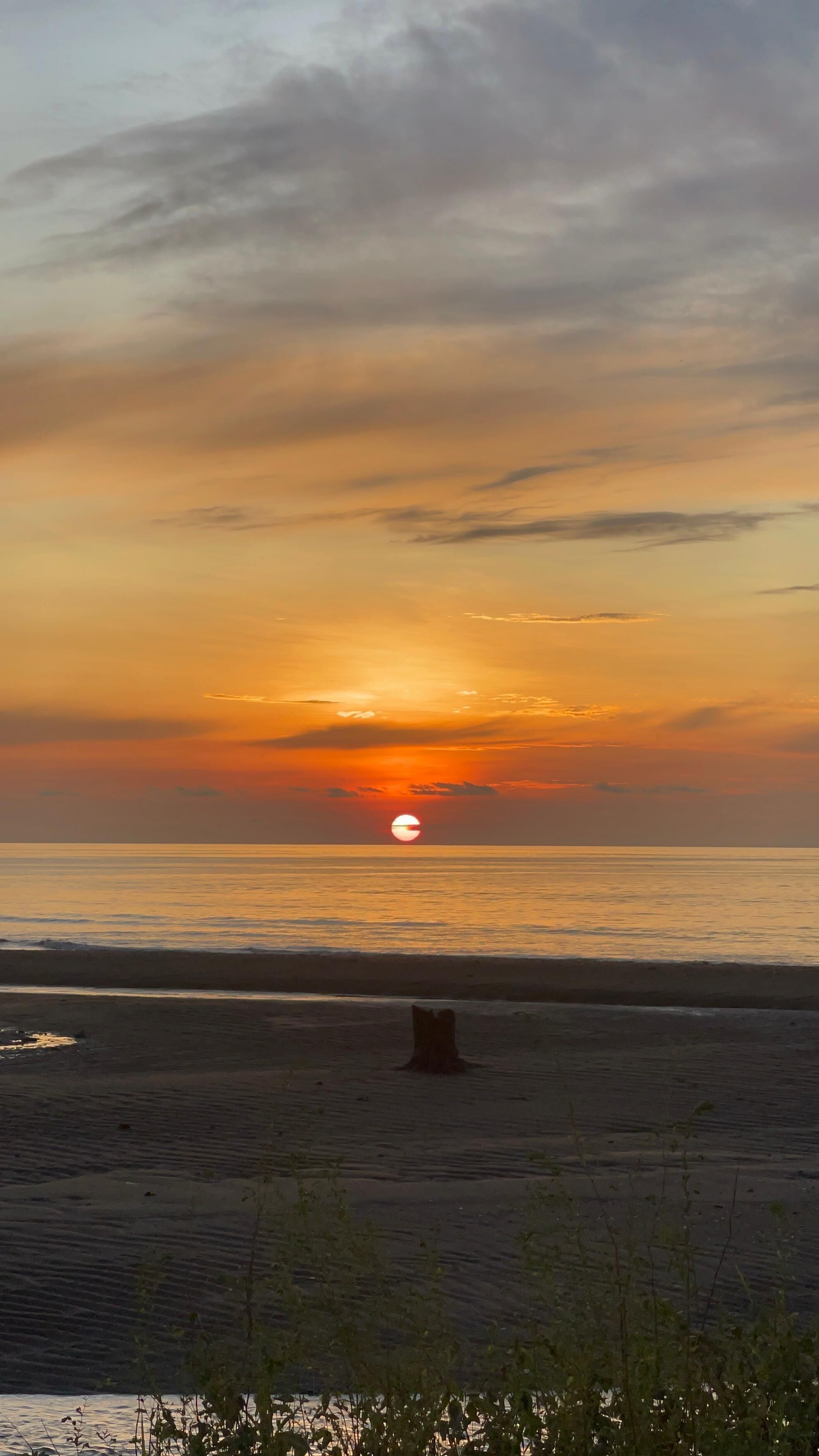 A beach at sunset with a clear sky, calm sea, and a tree stump in the foreground.
