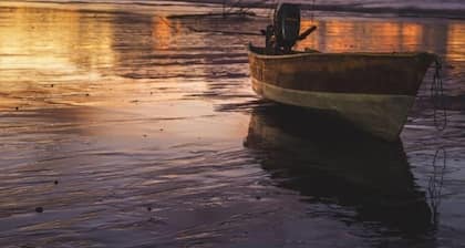 Ostional river