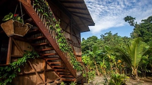 A wooden staircase with plants, leading to a building surrounded by lush greenery. - Ostional river  (Nuquí)