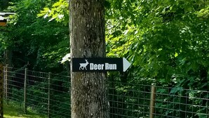 En skylt på ett träd som visar i vilken riktning rådjuren brukar springa.