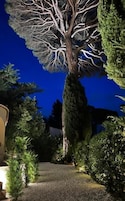 Un jardín nocturno con un árbol destacado, un sendero y varios arbustos.