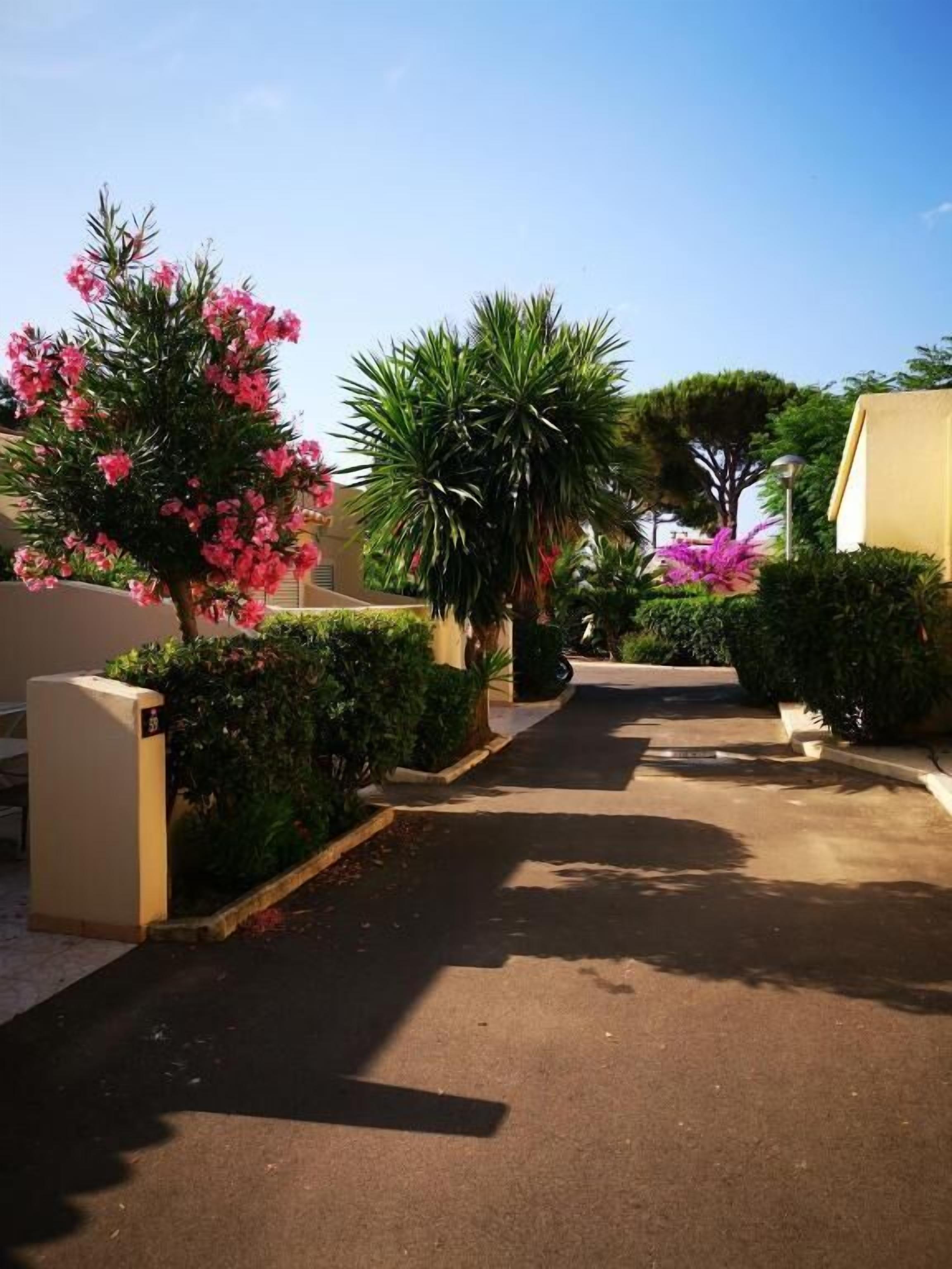 Un camino conduce a un edificio de fachada color crema, rodeado de abundante vegetación y plantas florecientes.