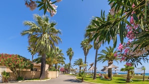 A sunny street lined with palm trees and pink flowers, leading to a beach area with lounge chairs and umbrellas. - Hotel San Pellegrino (Penta-di-Casinca)