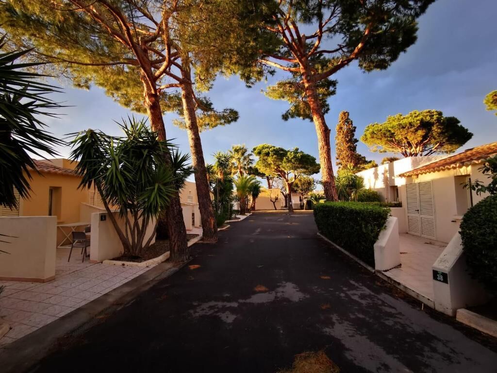 Une rue résidentielle bordée de maisons des deux côtés, un ciel dégagé et une chaussée asphaltée.