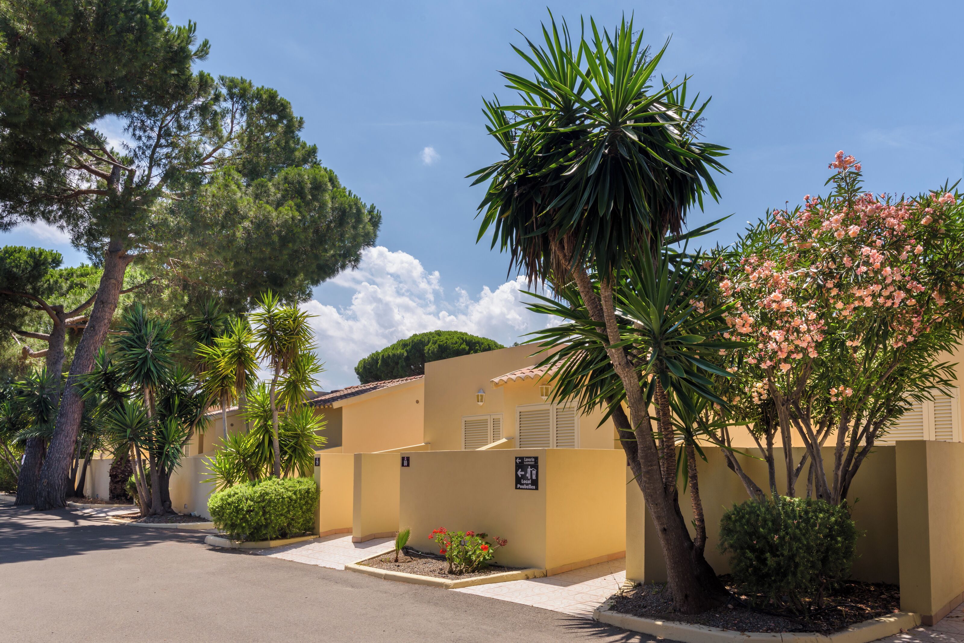 A residential area with a yellow building, a parking lot, and various trees and shrubs.