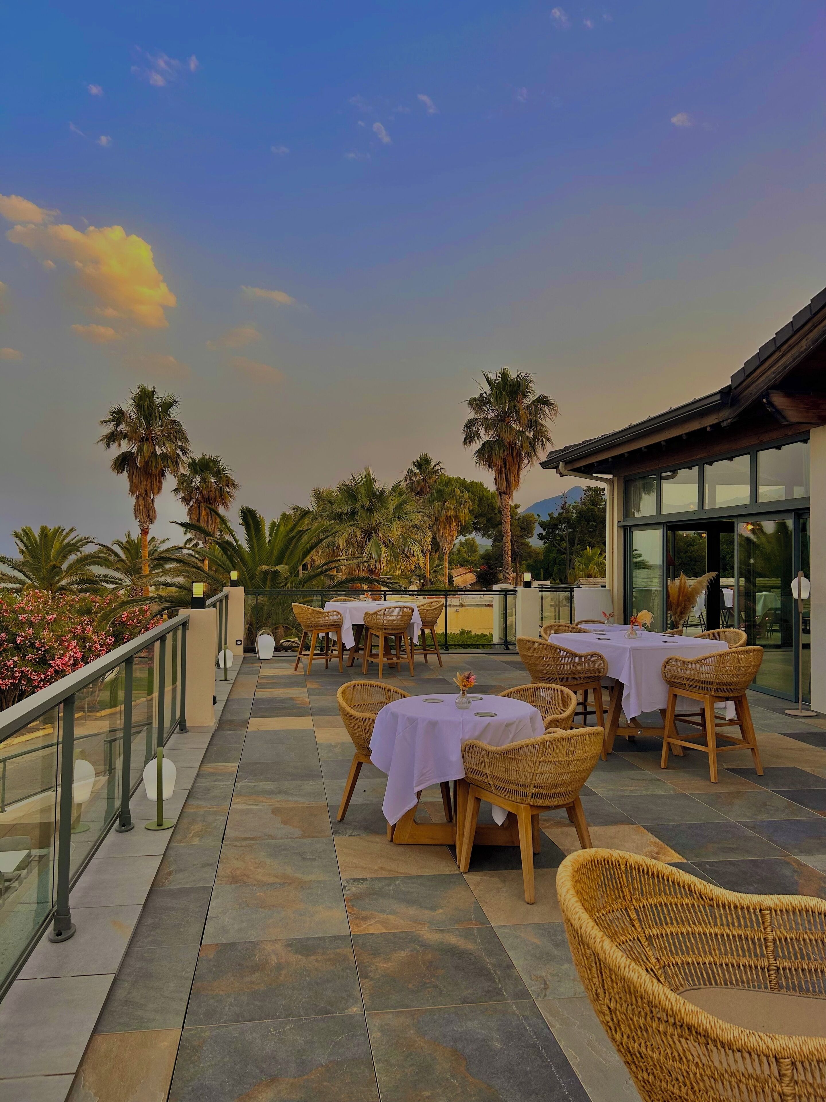 An outdoor patio area with wicker furniture and tables, palm trees, and a view of the sky.