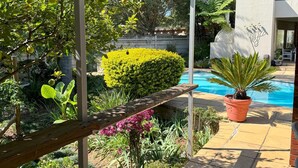 A poolside area with a wooden bench, a potted plant, and a well-maintained garden with various plants and a hedge. - Tranquil Cottage Retreat - Malanshof, Randburg (Johannesburg)