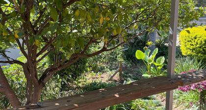 Tranquil Cottage Retreat - Malanshof, Randburg
