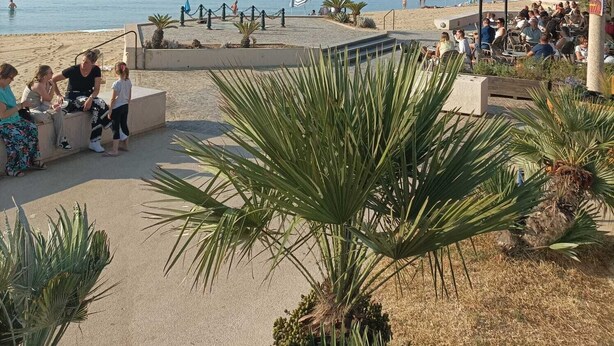 A beachside café with outdoor seating overlooking the sea. - Lavandou Maison de Ville Duplex ,400 Mètres des Plages. Ideal Pour les Familles (Le Lavandou)