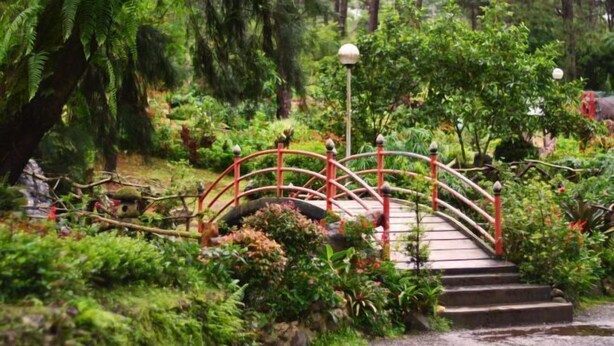 A wooden bridge with red railings over a small stream, surrounded by lush greenery and ferns. - RedDoorz Hostel @ Ritz Place Baguio (Baguio)
