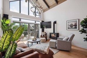 Smart TV, fireplace, stereo