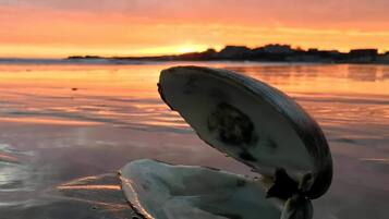 Beach nearby, sun loungers, beach towels