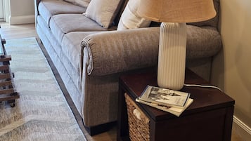 Smart TV, fireplace, books