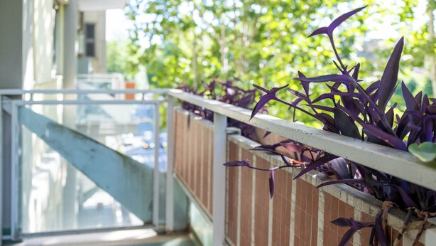 Ein Balkon mit Geländer, einer Ziegelwand und grünem Grün im Hintergrund.