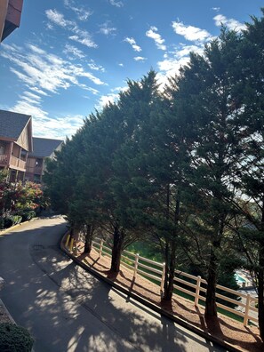 Property grounds - Luxurious condo next to Golf Course and close to all major attractions.  (Pigeon Forge)