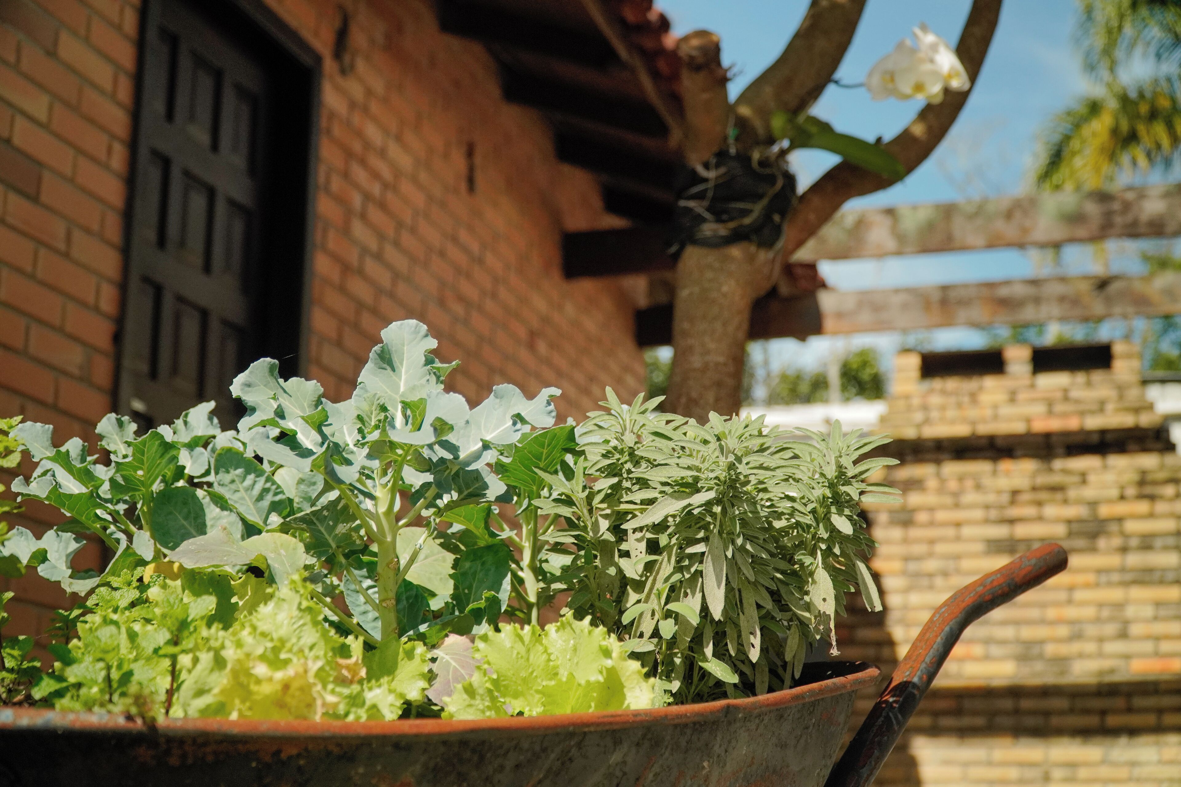 Foto - Pousada Dunasol Floripa