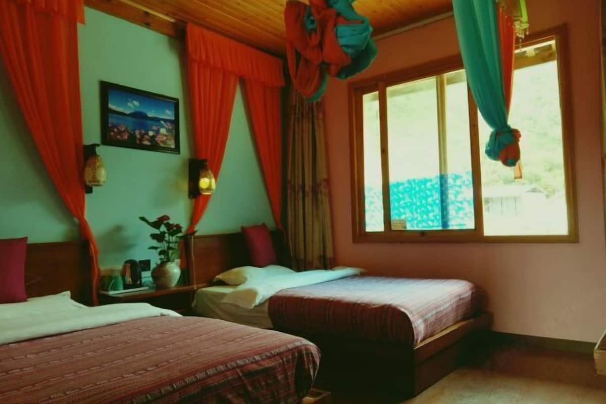 Une chambre avec deux lits, une table de chevet, une plante en pot et une fenêtre avec des rideaux.