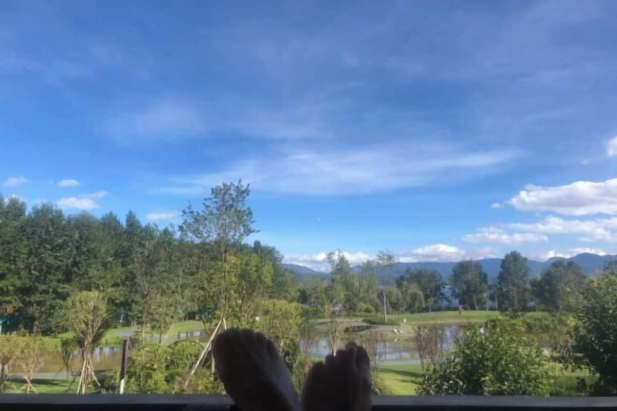 Une vue d’un paysage avec des arbres, une étendue d’eau et des montagnes à l’horizon.