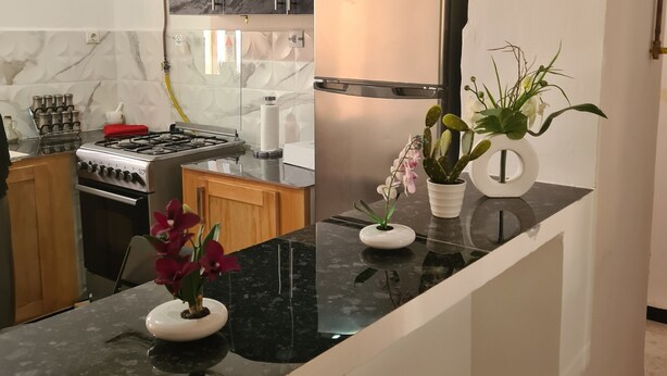 Una cocina moderna con encimeras de mármol, un refrigerador de acero inoxidable y una estufa a gas.