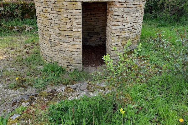 Área da propriedade