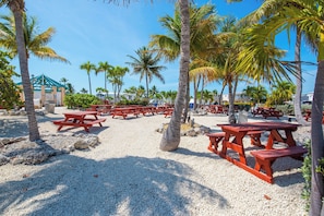Outdoor dining - Blue Heaven in Cudjoe Key #99 (Cudjoe Key)