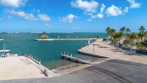 A coastal view with a pier, beach, and palm trees.