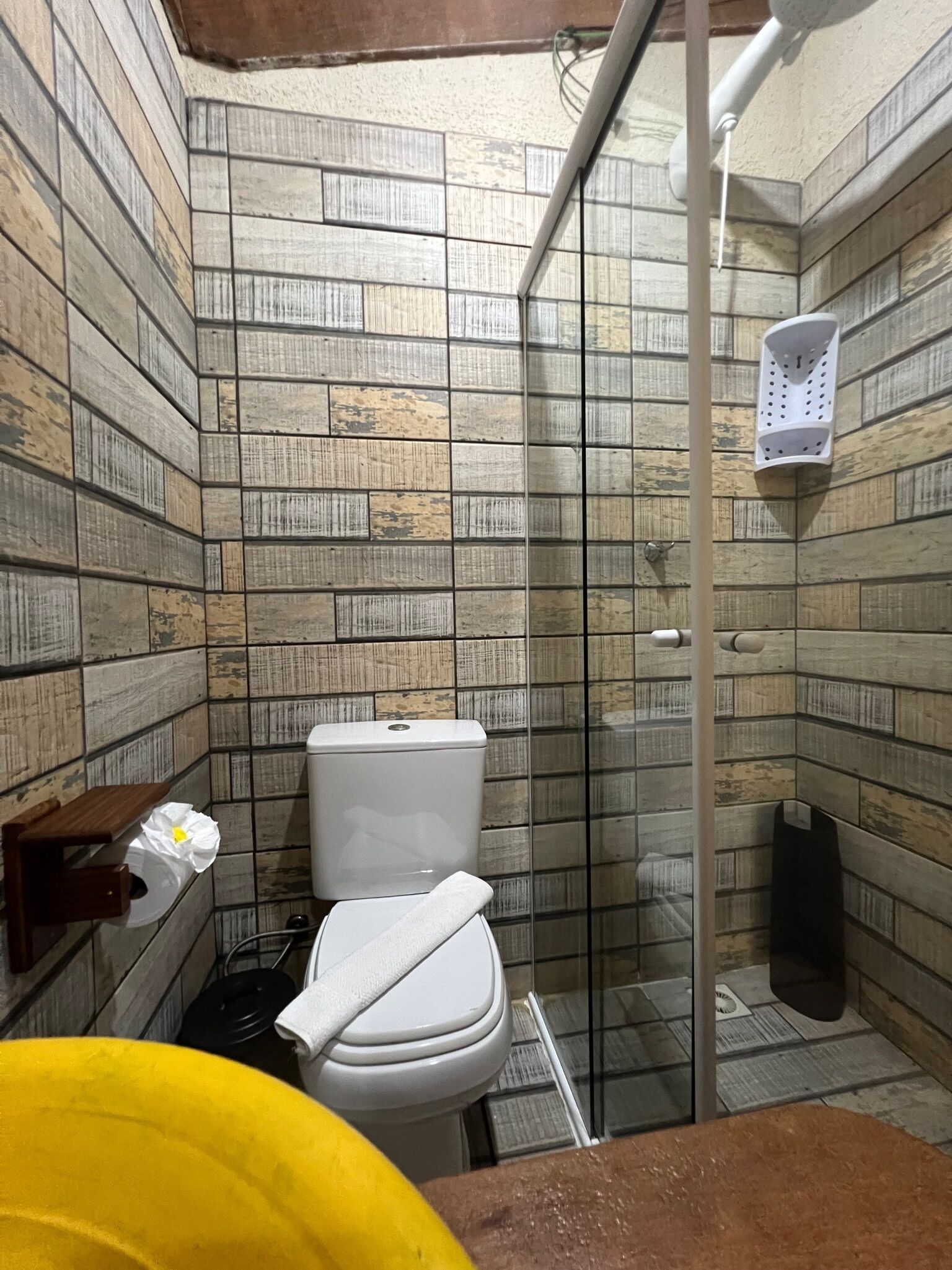 Ein Badezimmer mit Toilette, Dusche und Handtuchhalter.