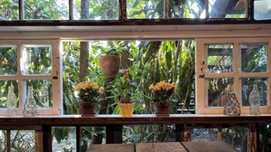 A wooden table with a colorful woven placemat, surrounded by potted plants and a view of lush greenery through a window with multiple panes. - Pousada Praia do Farol (Paranaguá)